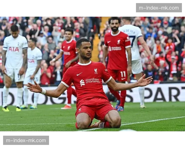 利物浦迎战热刺 第30轮焦点战检验防守体系 利物浦迎战热刺 第30轮焦点战检验防守体系