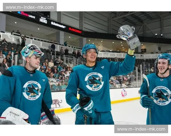 NHL球员重返冬奥冰球场 职业联盟与奥运体系再合作