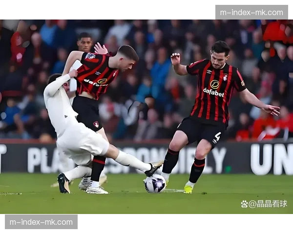 布莱顿对阵伯恩利首发 维尔贝克格罗斯明特组成攻击线 布莱顿对阵伯恩利首发 维尔贝克格罗斯明特组成攻击线